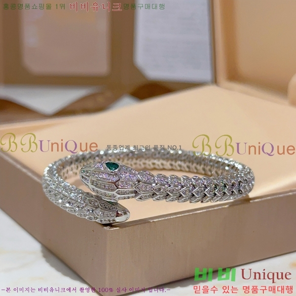 �Ұ��� ���� BV2411364