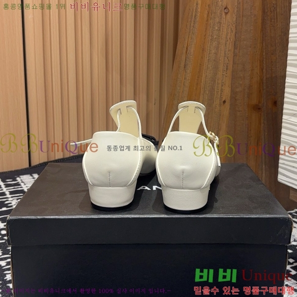   ޸  CH2410063-2
