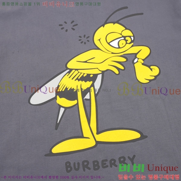    Ƽ BU256480