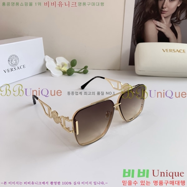 ������ü ���۶� VE102299-1