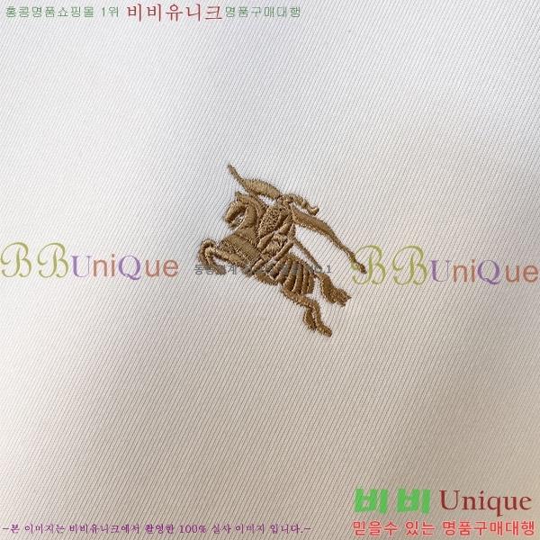   BU517099-1