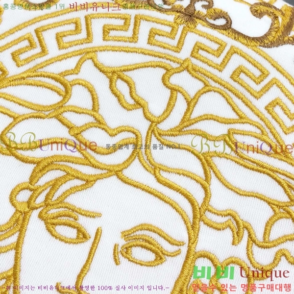 ���� ������ü ������ V087475