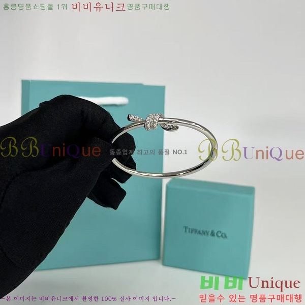 ���� Ƽ�Ĵ� ���� TF2511455-2