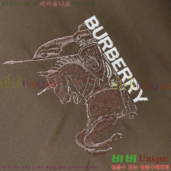 ���� ������ ���� BU215656-1