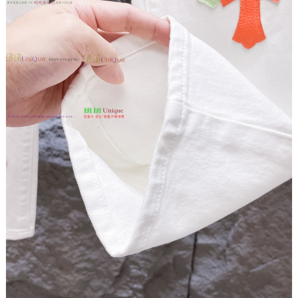 ���� ũ������ û���� CH248393-2