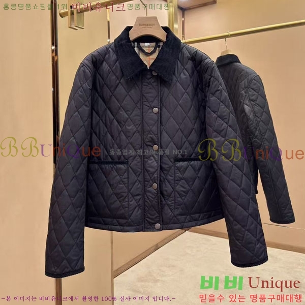 ���� ������ �淮 �е� BU438276