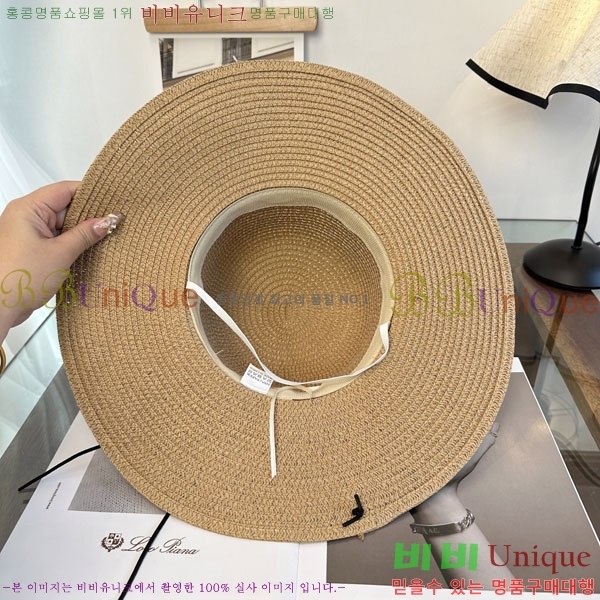 ��* ���� CH2520958-1