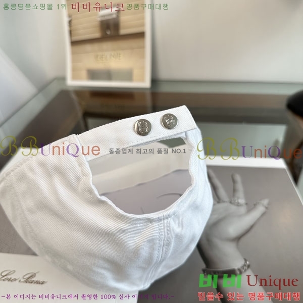 ��* ���� CH2520959-1