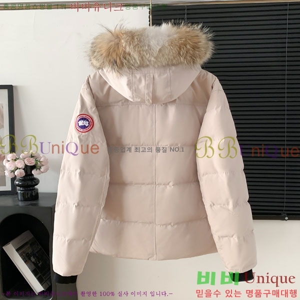 ���� ĳ���ٱ��� �ٿ� �е� CAG15737-5