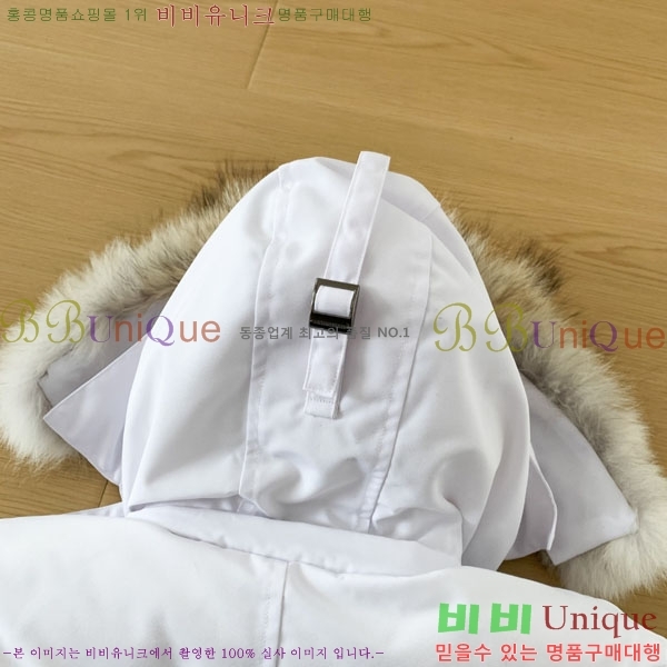���� ĳ���ٱ��� �ٿ� �е� CAG15738-2