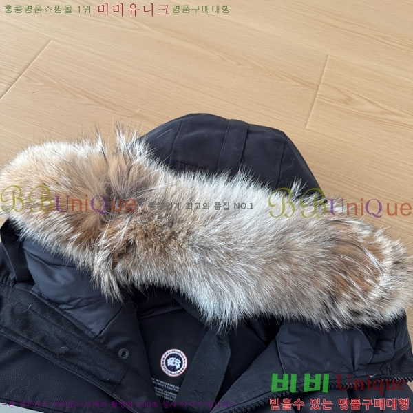 ���� ĳ���ٱ��� �ٿ� �е� CAG15744-2