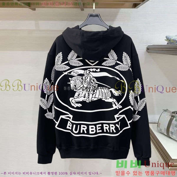 ���� ������ �ĵ�Ƽ BU385183