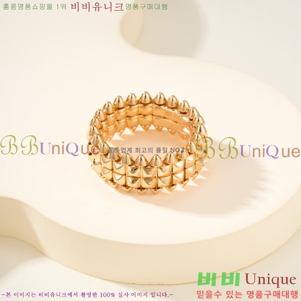 �������� ��쿡 ���� CA2450733-1