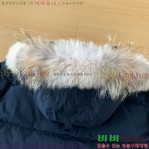 ���� ĳ���ٱ��� �ٿ� �е� CAG15737-6