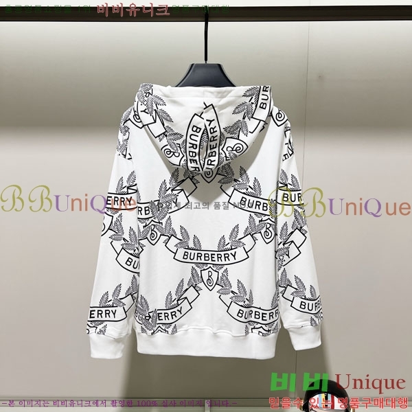���� ������ �ĵ�Ƽ BU385171-2